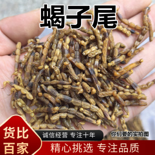 安国中药批 蝎子尾巴 全蝎 全虫尾巴 全虫尾 蝎子尾 另有蜈蚣水蛭