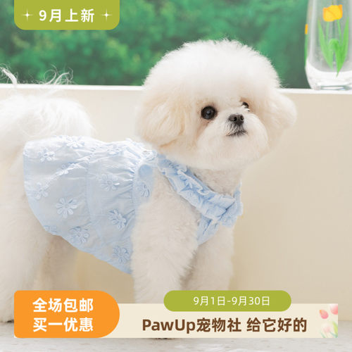 韩系蓝色田园花边领牵引连衣裙小型犬狗狗夏季薄款宠物衣服猫衣服
