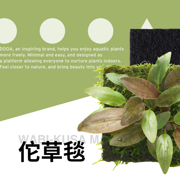 DOOA佗草毯生化棉雨林缸水陆缸苔藓莫斯水草热植附生植物捆绑基质