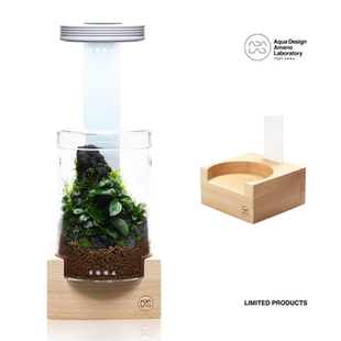 ADALAB限定玻璃瓶木托灯架底座桌面微景观苔藓造景手工陈列装饰