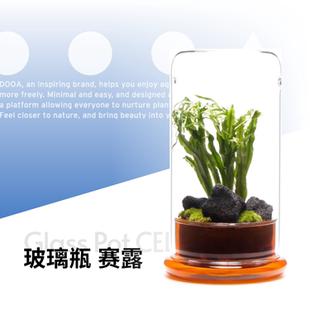 DOOA玻璃瓶赛露微景观植物瓶精致优雅美观桌面植物造景透气保湿