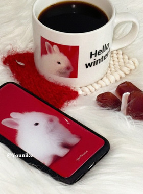 韩系ins复古喜庆新年红色兔子防滑适用iphone17pro/17promax保护壳苹果16手机壳16promax保护套15/13/14外壳