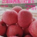 正宗陕西洛川苹果红富士新鲜当季 孕妇水果时令脆甜陕西一级果5斤