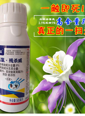 长效宾馆一夏净蚊子苍蝇跳蚤蟑螂