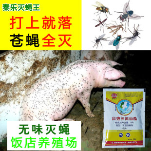 秦乐养殖场苍蝇药粉杀灭蝇子克星杀虫剂家用一扫光餐厅灭蝇喷雾剂