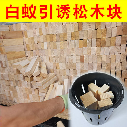 防蚁松木块白蚁引诱监测诱杀