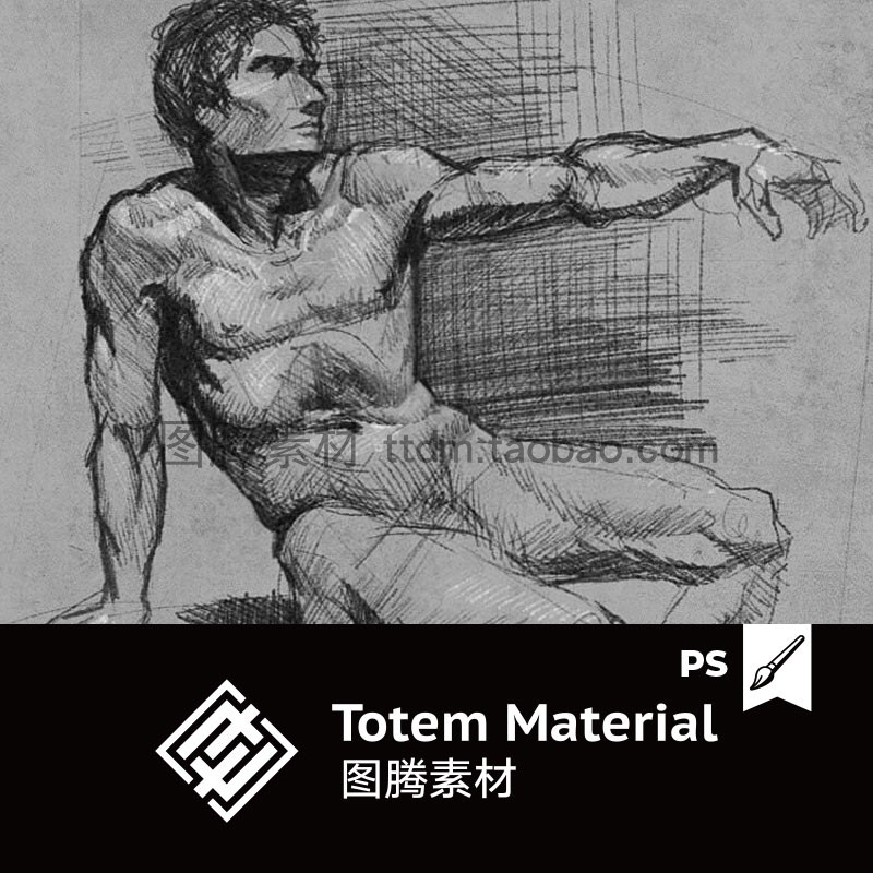 手绘速写排线铅笔效果PS笔刷静物素描起稿刷笔触Photoshop Brush