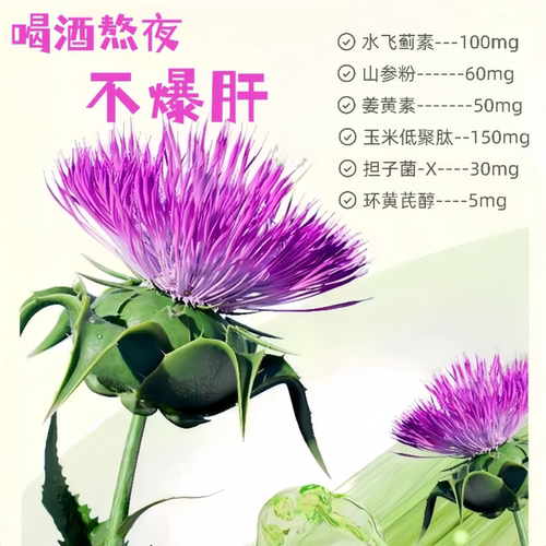 奶蓟草熬夜清肝水飞蓟素姜黄素