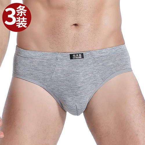 男士三角内裤莫代尔男式大码中腰
