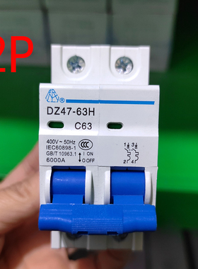 上海人民电器开关厂2P断路器双进双出63A 40  32  25  20导轨220V