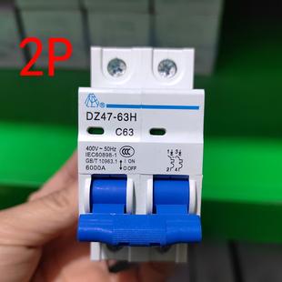 20导轨220V 上海人民电器开关厂2P断路器双进双出63A