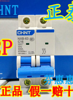 CHNT正泰断路器2P16A 32A 40A双进双出C63两相空气开关NXB-63总