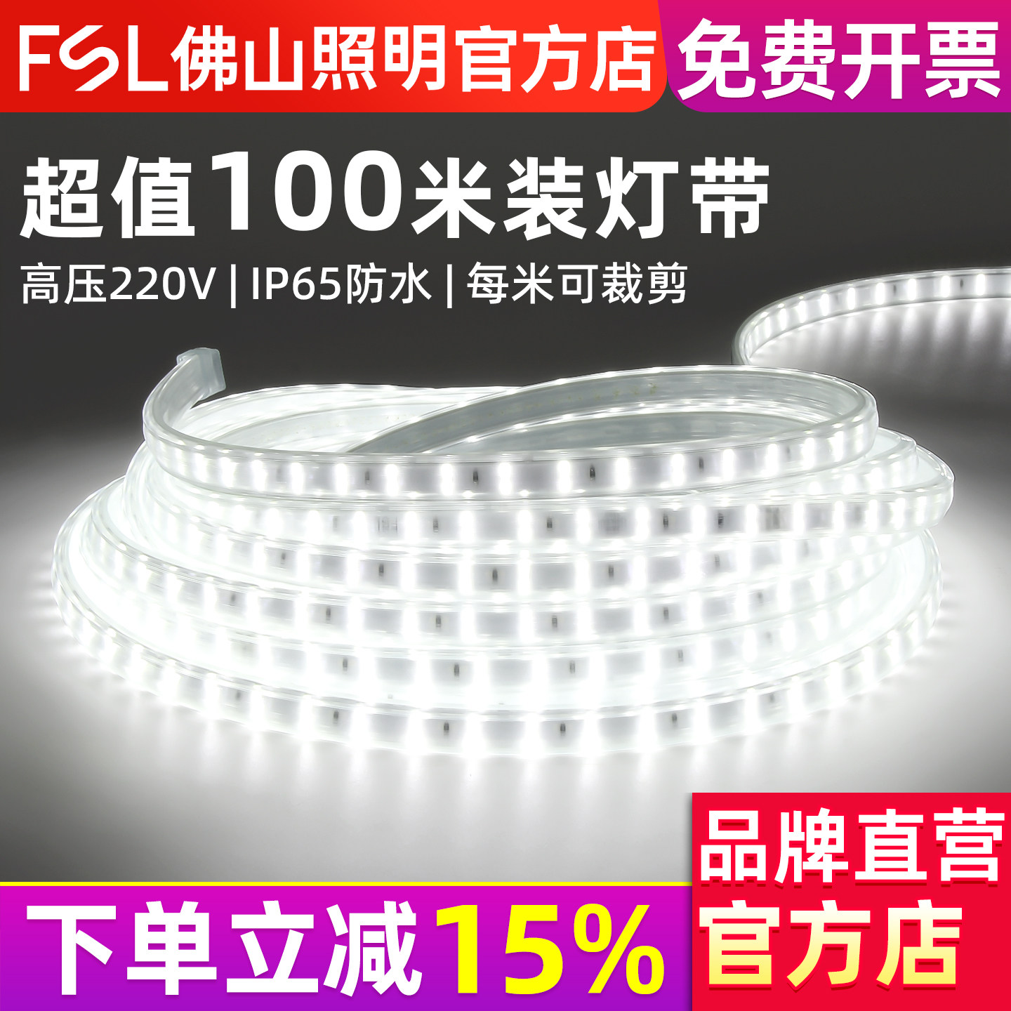 FSL佛山照明led灯带户外防水220v图片