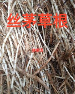 丝茅根500克新鲜茅根草茎叶 丝毛草 丝毛草根 黄茅 甜根草 白茅