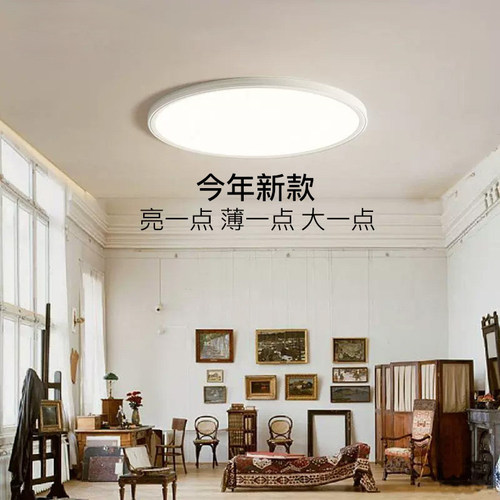 高显指主次卧室铝材吸顶灯极简