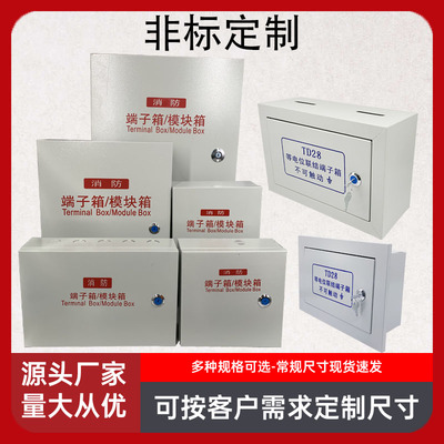 消防模块箱非标定制等电位端子箱