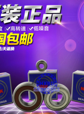 进口NSK轴承600060016002
