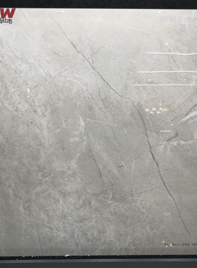 蒙娜丽莎瓷砖800X800客厅地砖通体8FMB10038/10039/10070/10032PM