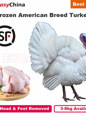 3kg-8kg Frozen American White Turkey Nicholas-700 Breed