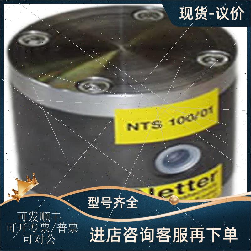 议价德国NETTER VIBRATION振动器NTS 24/20