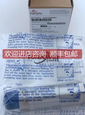 ENTEGRIS英特格过滤器CN1H02E06