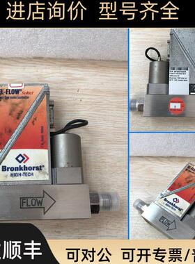 Bronkhorst F201CV-1K0-BAD-88-V 1000SCCM H2