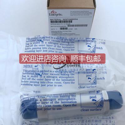 英特格ENTEGRIS过滤器YY160304P