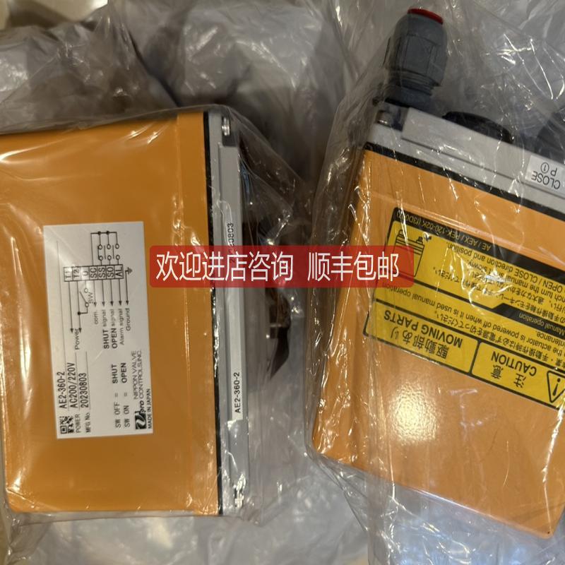 Nippon valve AE2BR-201TTF22