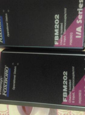 福克斯波罗foxboro装FBM202 P0926EQ