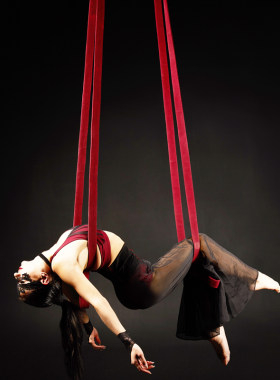 杂技道具专用皮条皮吊aerial straps高空中吊绳皮带子双人loop