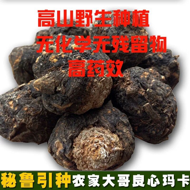 云南丽江黑玛咖干果特级黑玛卡干果特大一个30克以上不切片正品