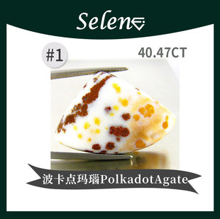 SELENE 罕见波卡点玛瑙 玉髓化石 Polkadot Agate 收藏镶嵌裸石