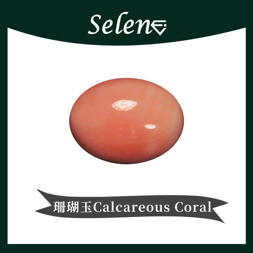 SELENE 意大利 钙化珊瑚玉 有机宝石 Calcareous Coral 戒面包邮