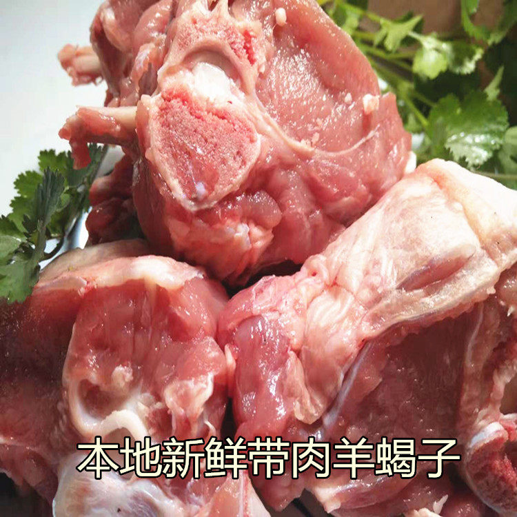 生羊蝎子 新鲜带肉羊蝎子 山羊脊背/羊蝎子