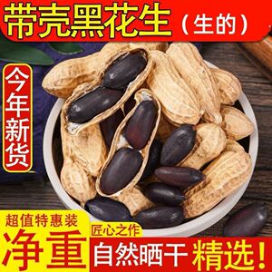 2025新鲜黑花生带壳黑紫皮花青素丰富自然香甜头茬新货生黑花生