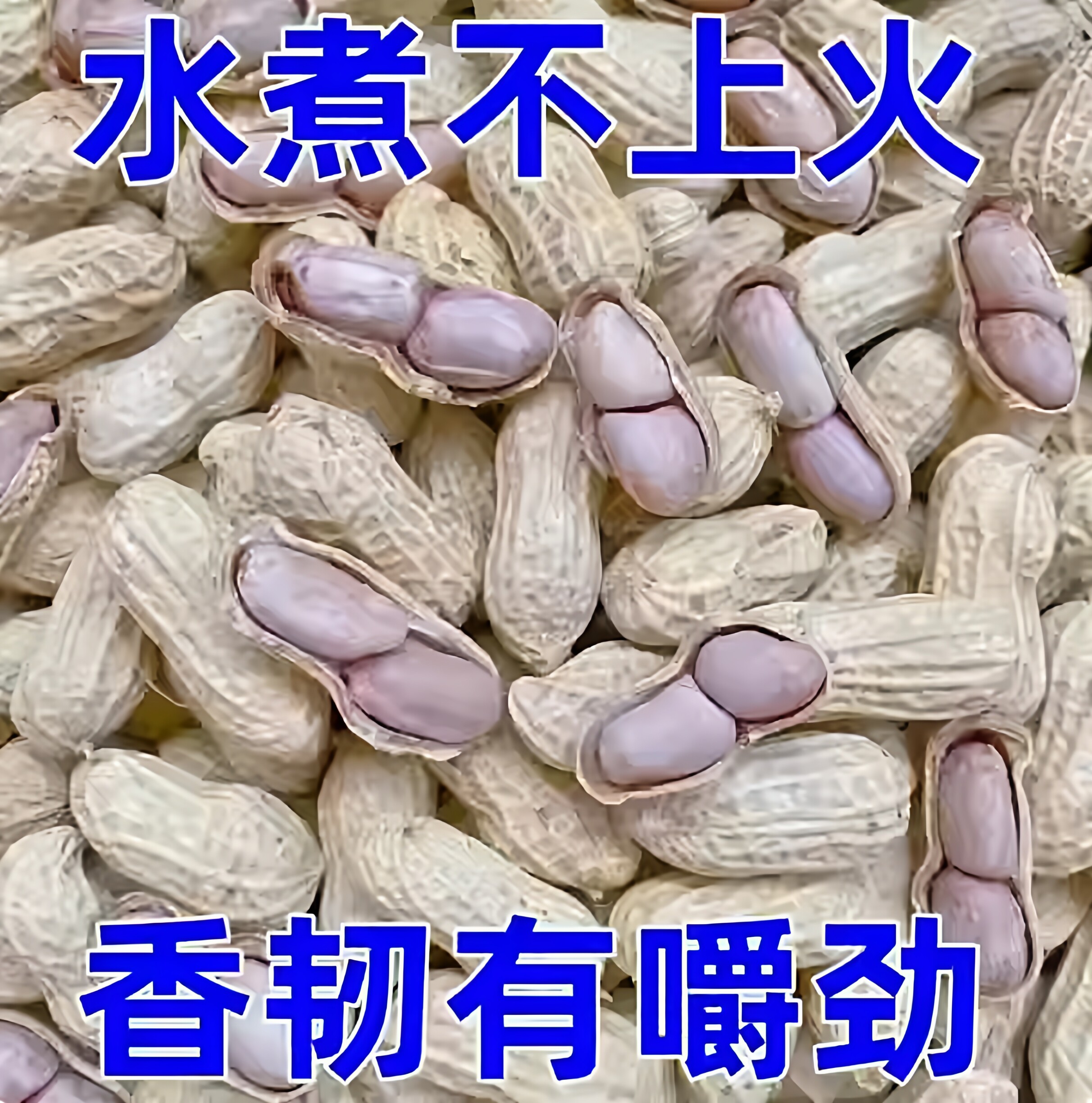 龙岩水煮白晒花生500g带壳花生米湿烤咸干晒干五香花生炒货零食