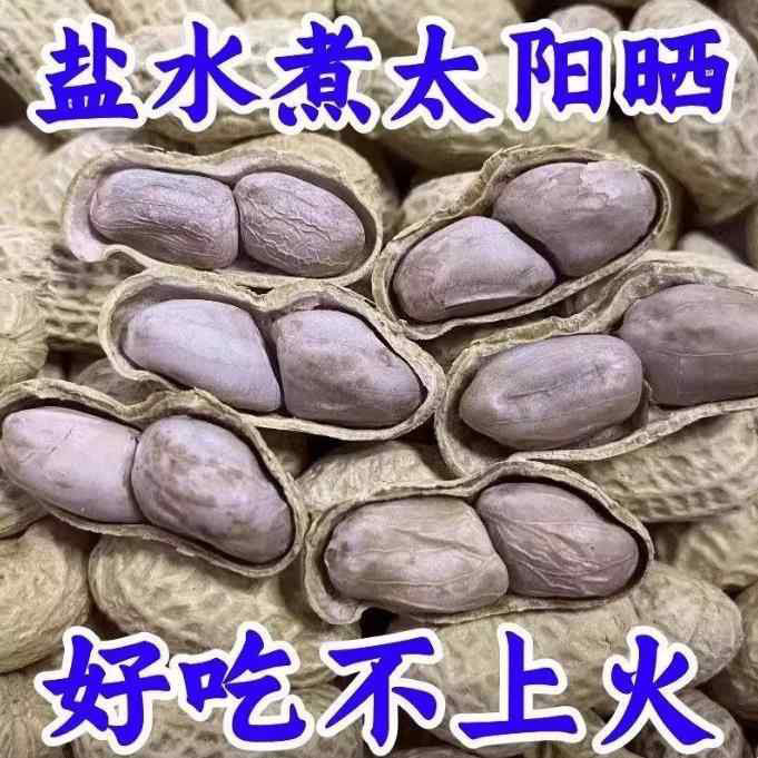 2025年新货水煮花生晒干农家水煮咸干花生白晒花生坚果零食特产