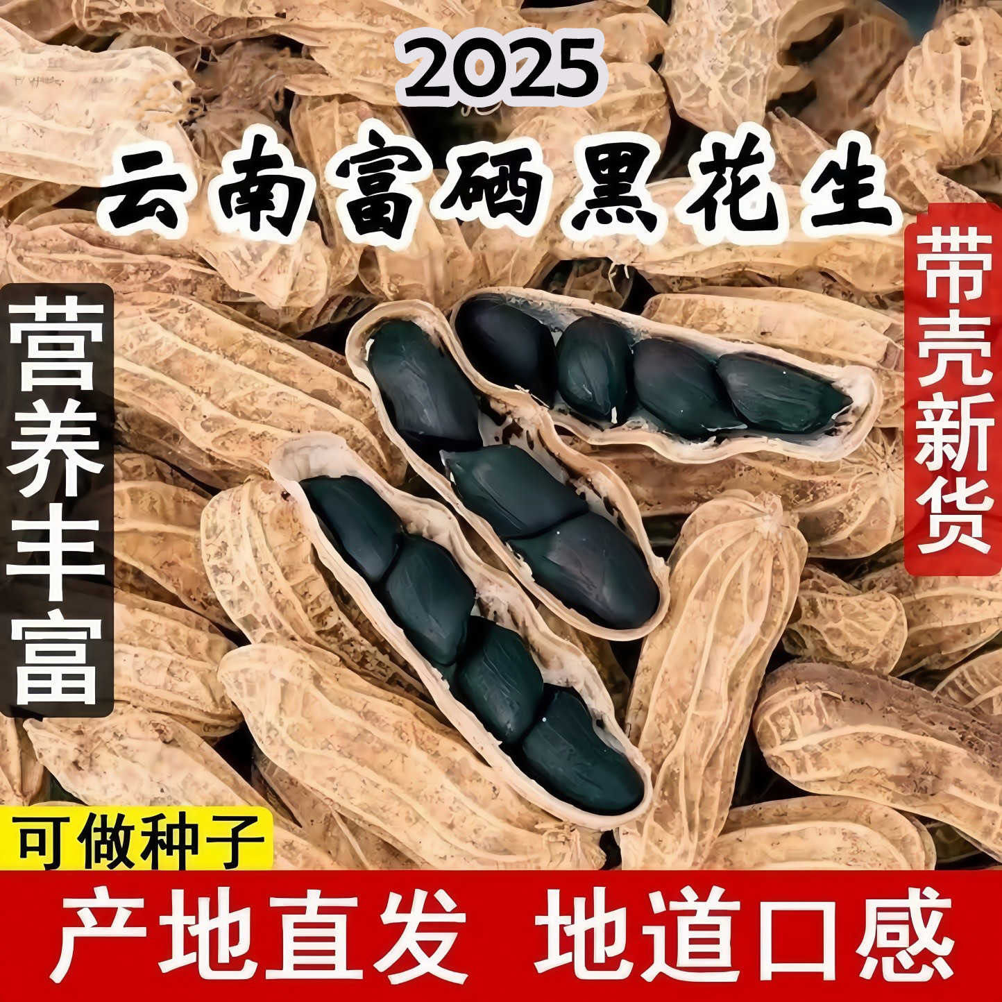 老品种黑花生带壳零食新货花生黑皮花生紫皮花生米黑子花生做种