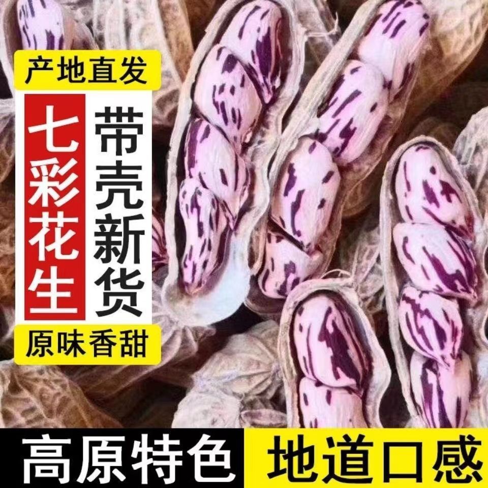 云南七彩花生25年新货带壳