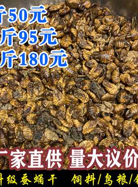 饲料纯干家禽钓鱼包邮蚕蛹