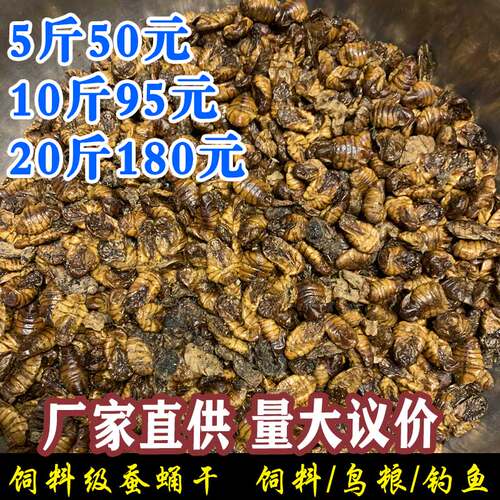 饲料纯干家禽钓鱼包邮蚕蛹