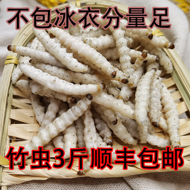 竹虫500克买3斤包邮云南野生竹虫竹蜂虫鲜活速冻竹蛹竹节虫笋虫