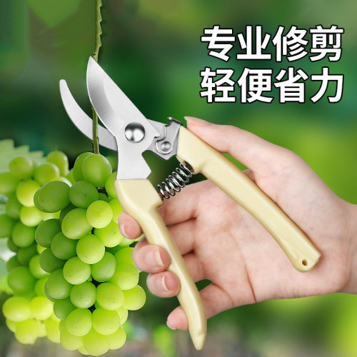 熊熊家果枝剪果枝剪花枝剪刀粗枝