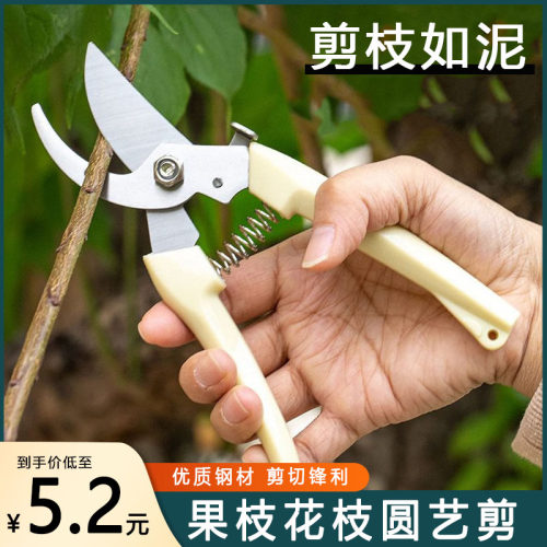 熊熊家果枝剪果枝剪花枝剪刀粗枝
