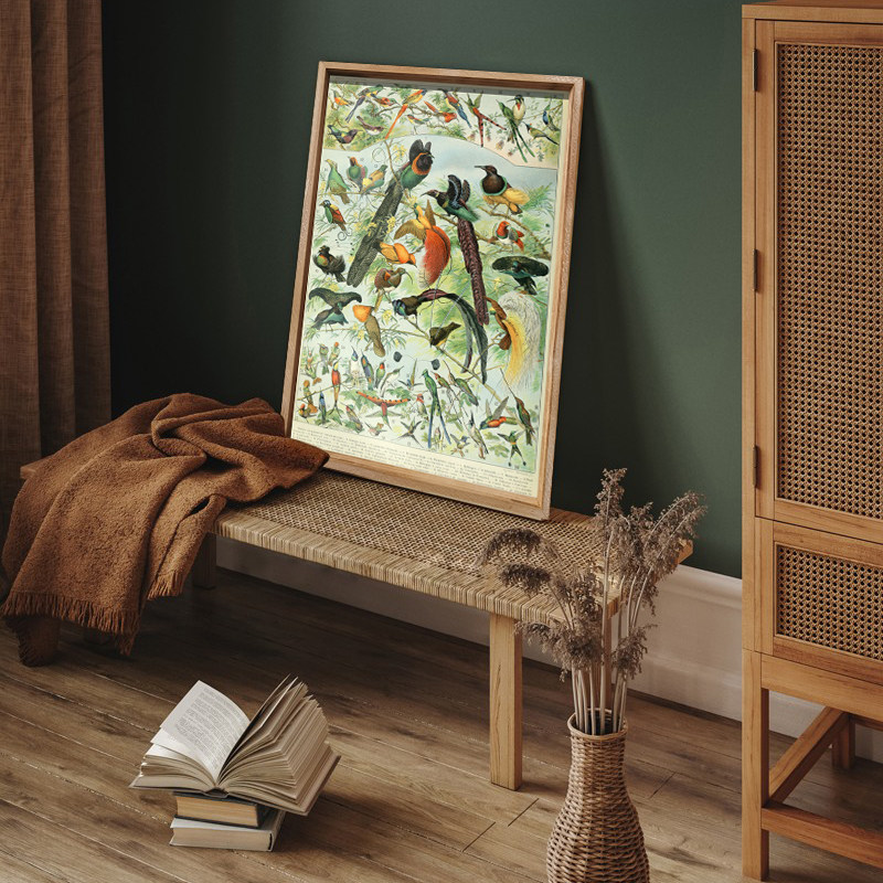 动植物图鉴复古生物博物馆科普百科挂画草本花鸟素材自然历史图鉴