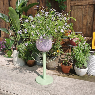 花盆口径22.5 花盆高度20 郁金香花架23