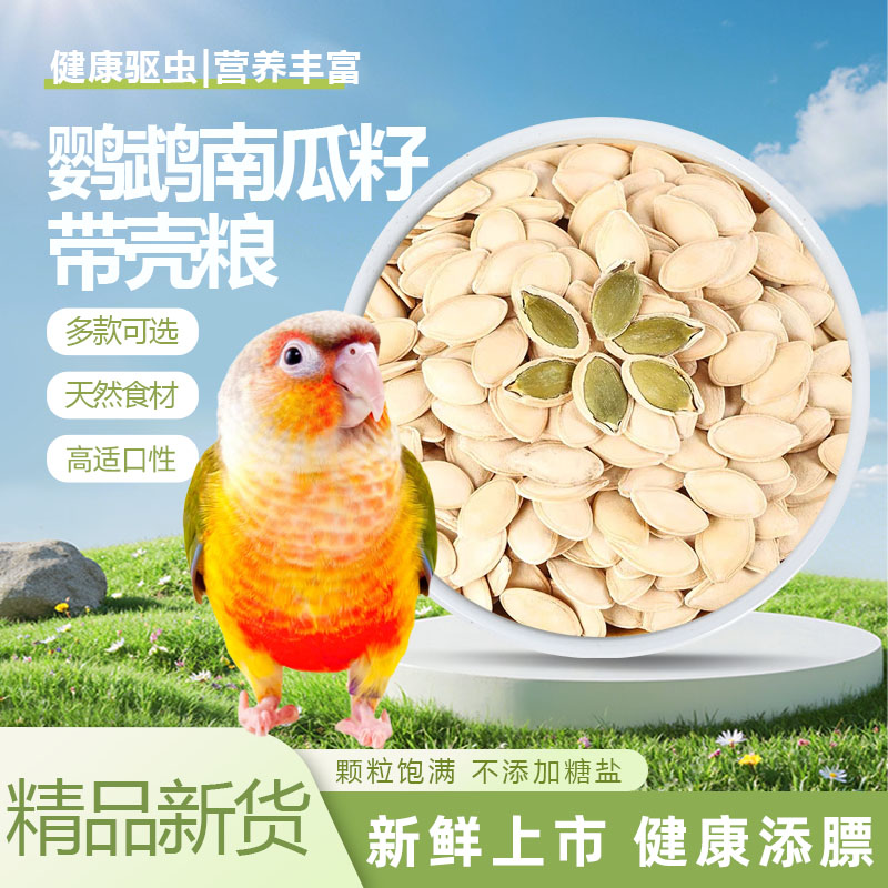 10年老店鹦鹉瓜子南瓜子营养饲料