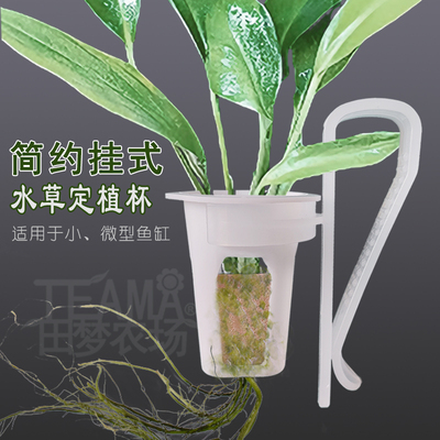 简约挂式水草定植杯小微型鱼缸水上叶植物挂架卡扣式水培固定篮