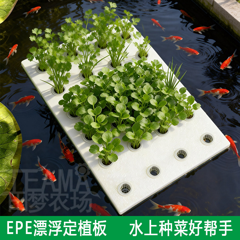 水培蔬菜漂浮定植板40型大棚水上种菜无土栽培设备水耕带孔浮床