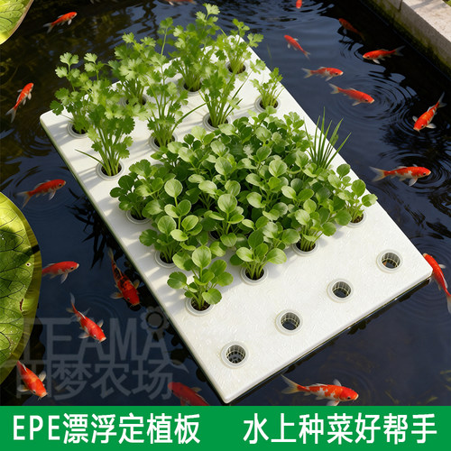 水培蔬菜漂浮定植板40型大棚水上种菜无土栽培设备水耕带孔浮床